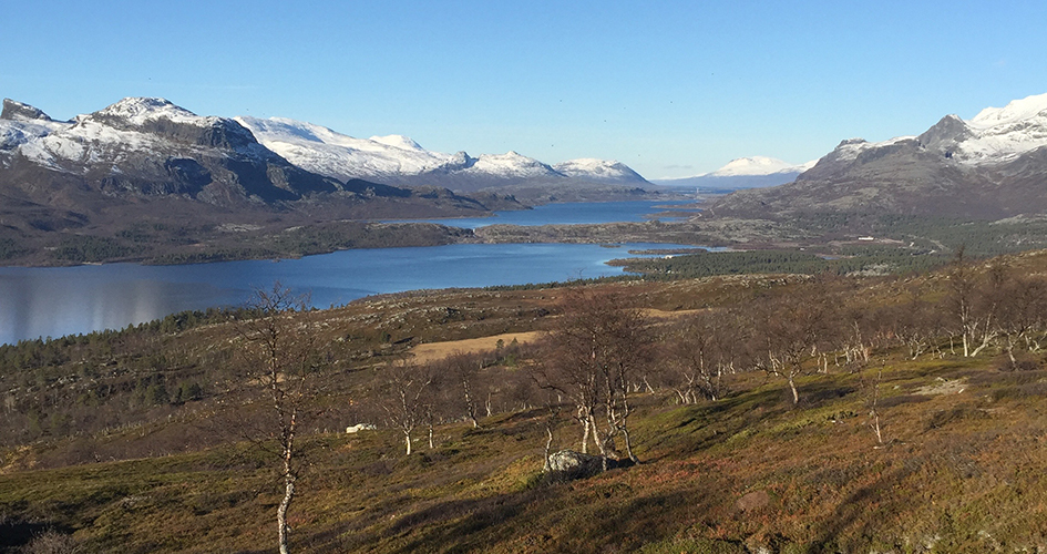 En dalgång med vatten och skog, vita fjäll avtecknar sig mot blå himmel.