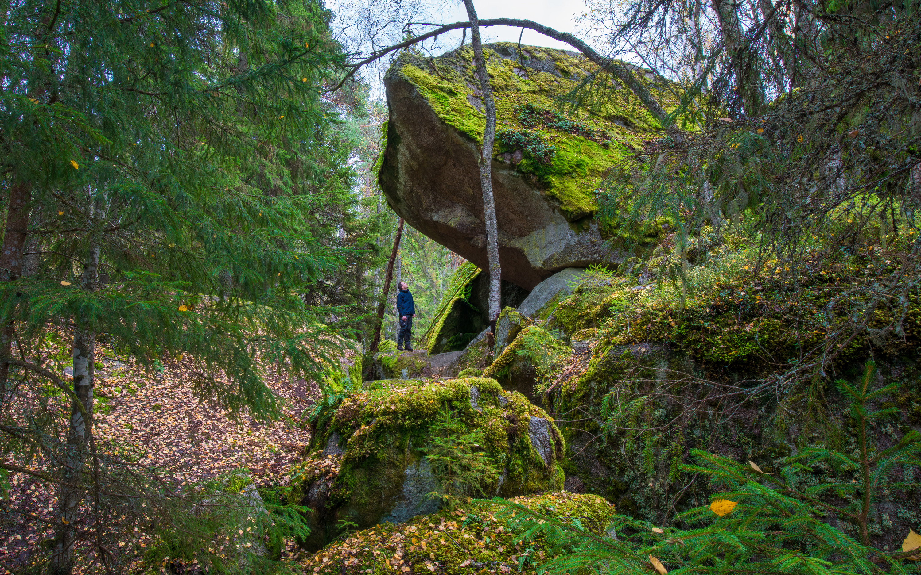 A man looking up on a big rock in the woods