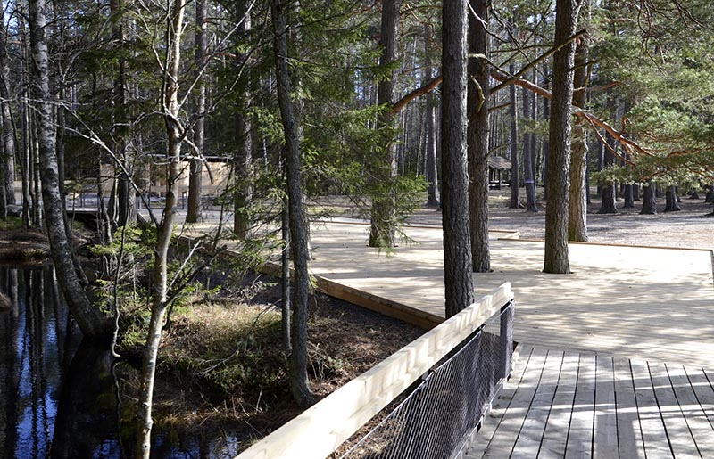 Gångväg gjort av  trä för bättre framkomlighet i skogen.