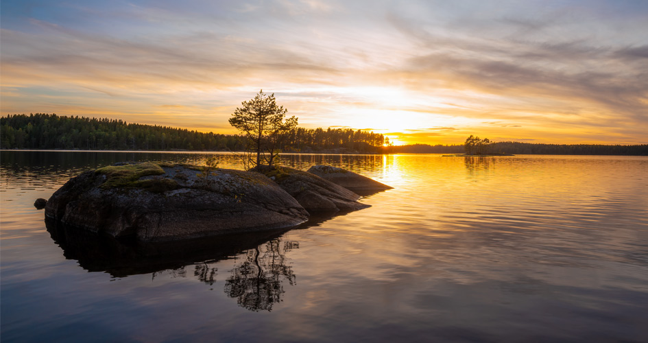 En stilla sjö med ett trä på en stenig ö