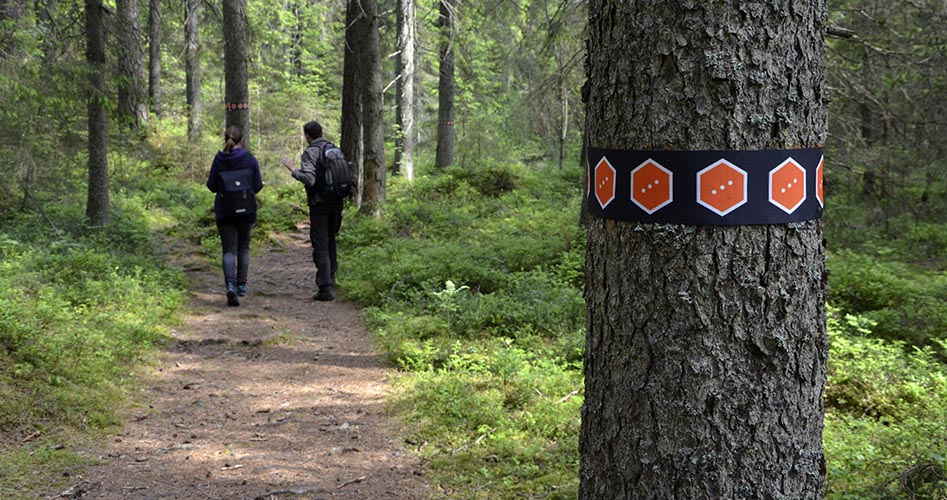 Två människor följer en vandringsled i skogen.