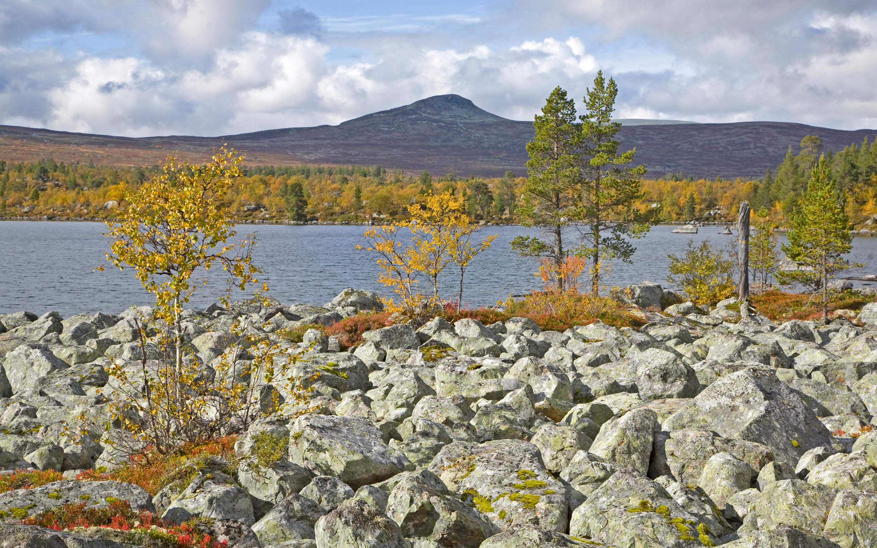 Blocklandskap i Töfsingdalen