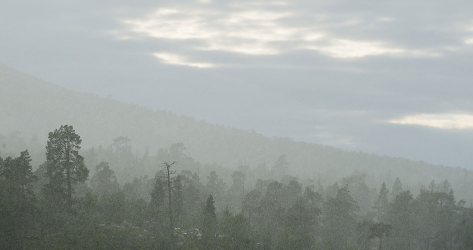 Landskapsvy av skog och himmel i oväder.