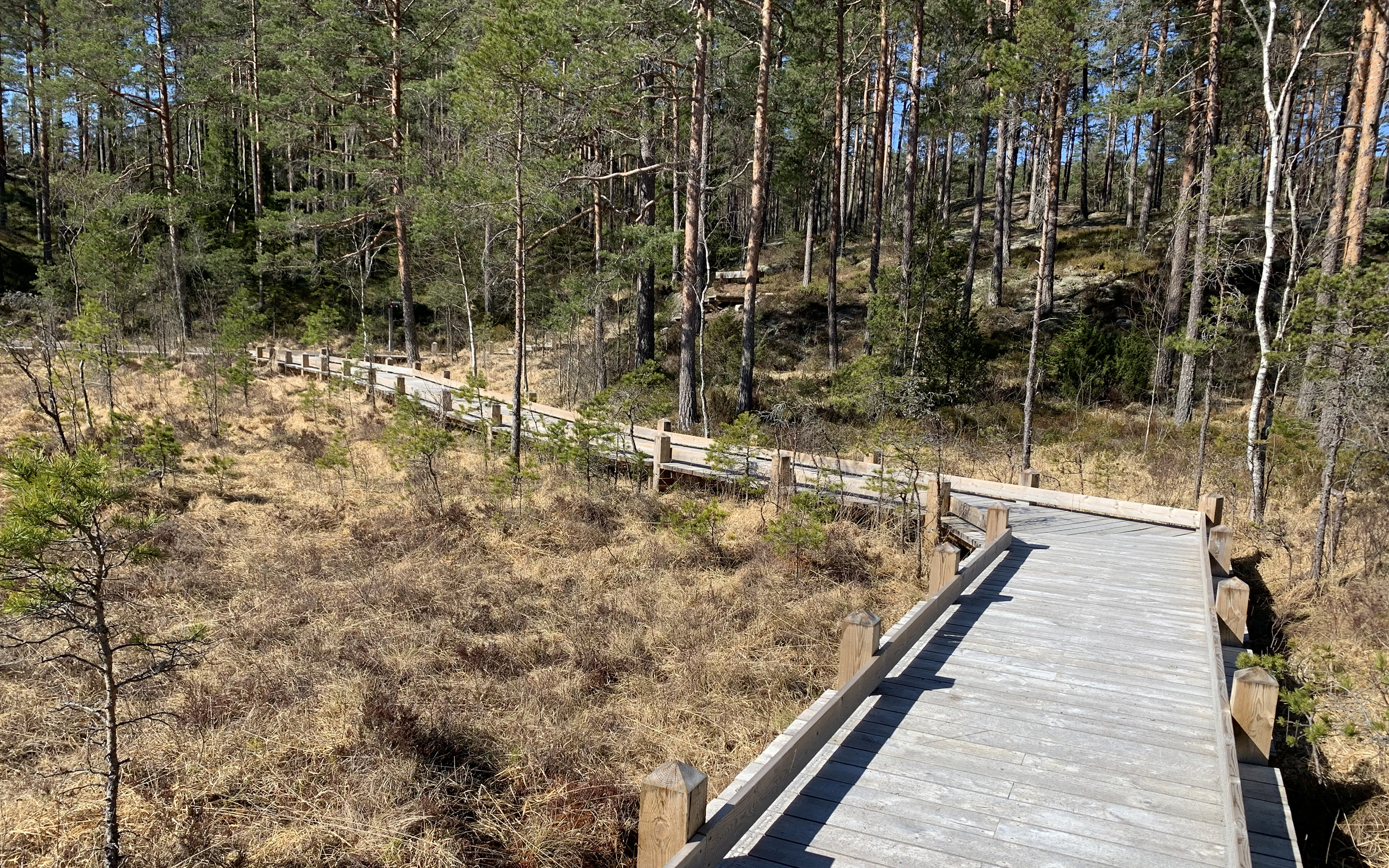 Träspång med kanter i naturen.