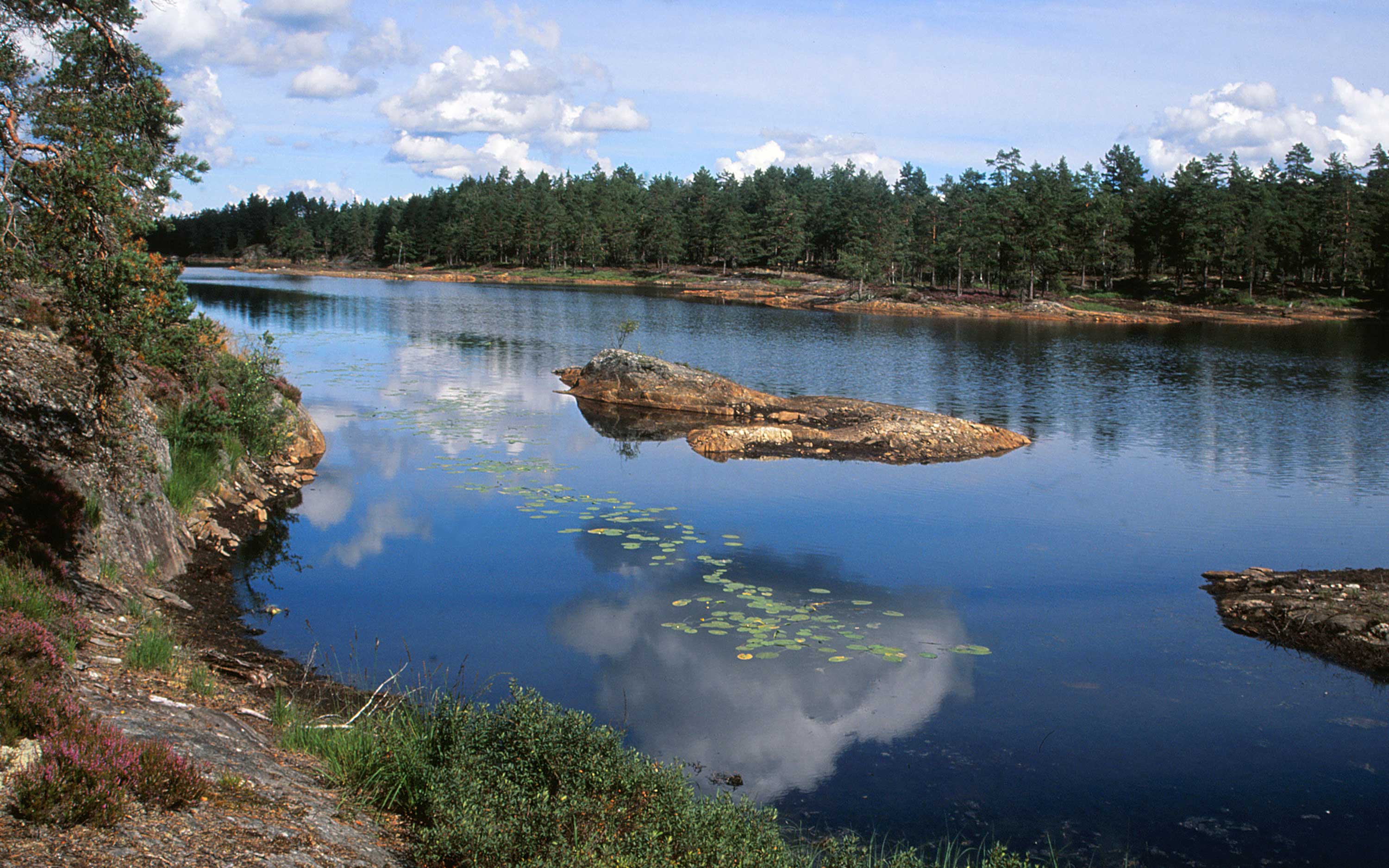 Tresticklans nationalpark Sveriges nationalparker | Välj Rasta, äta och bo | Besöksinformation Tresticklans