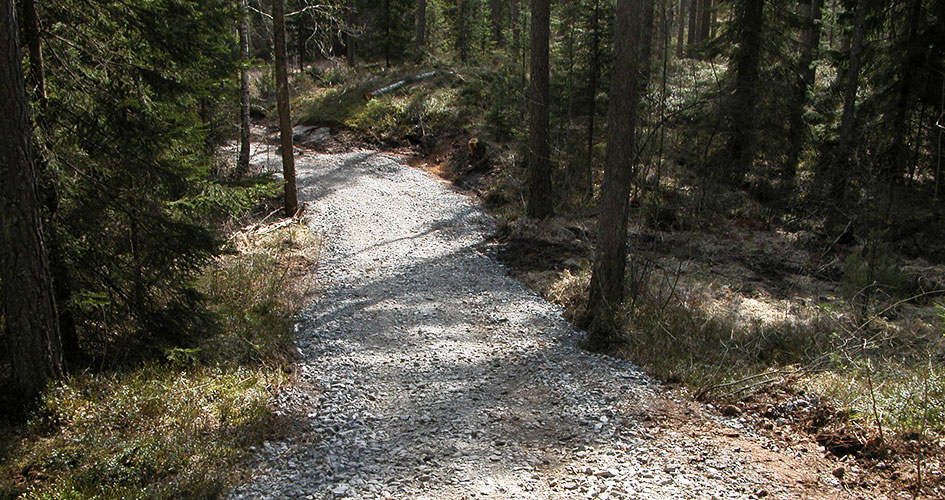 Grusväg i skogen.