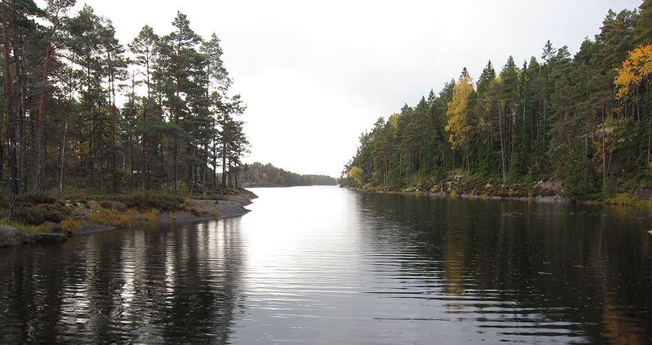 En spegelblank sjö delar skogen.