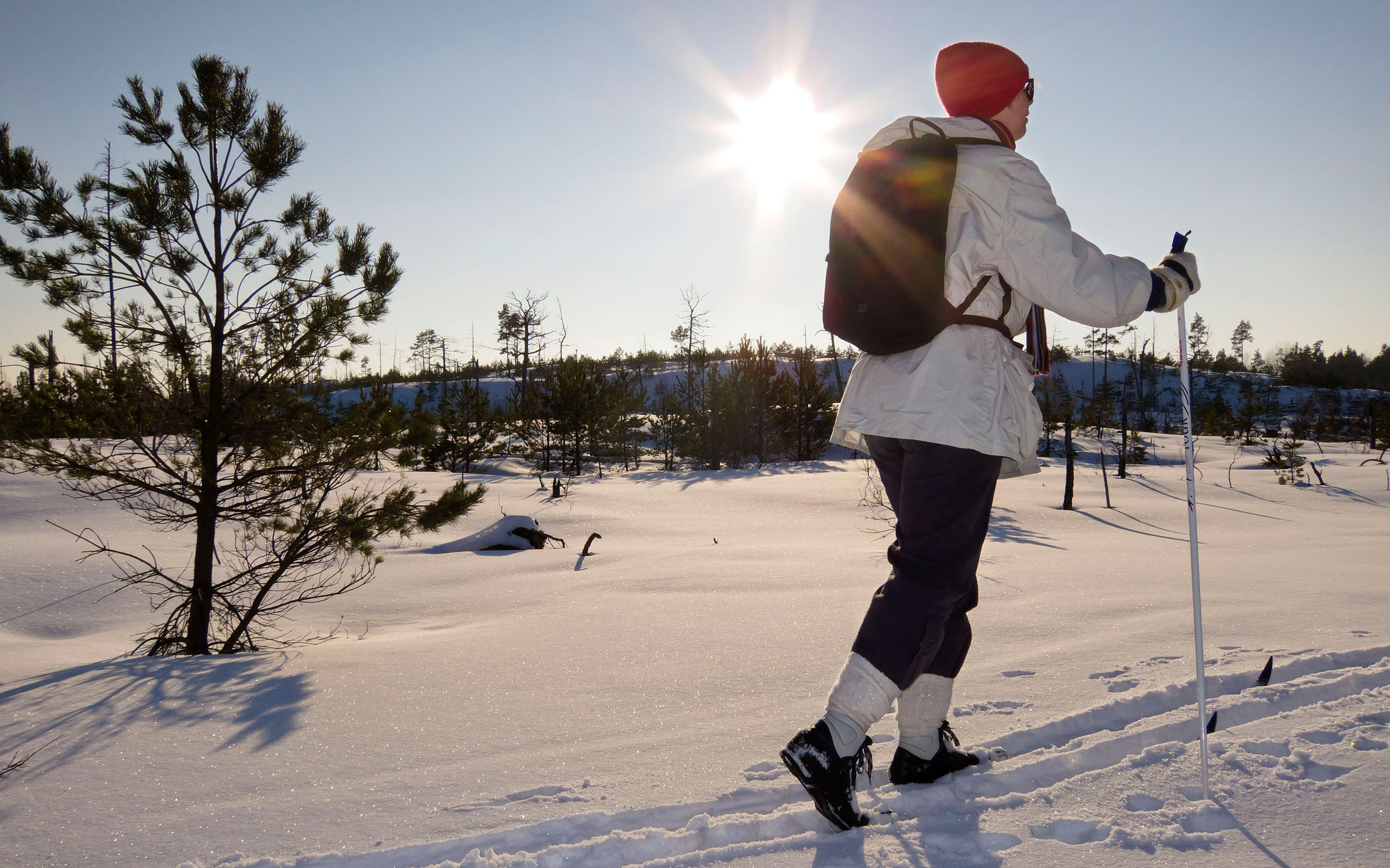 Skidåkare i soligt snölandskap.