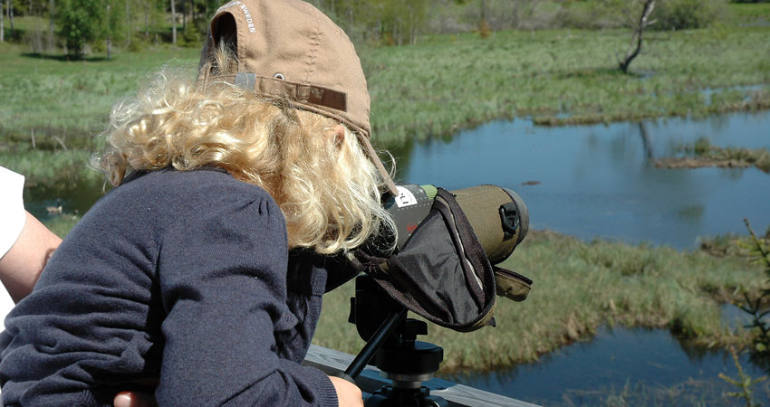 A child looks through a binoculars at a tripod over the national park.