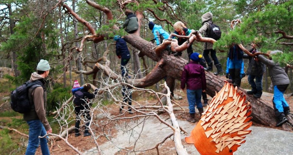 Children climbing on a lying pine tree.