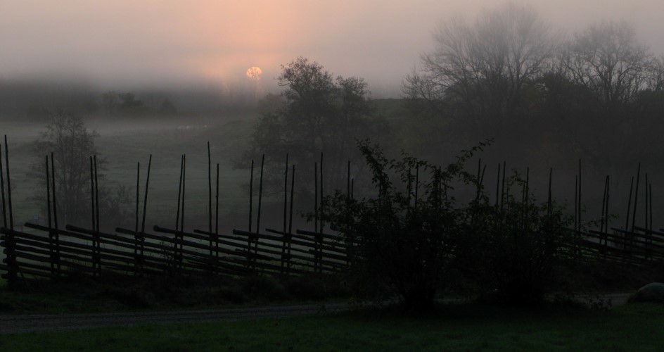 Landskapsvy över skog med mörkrosa himmel.