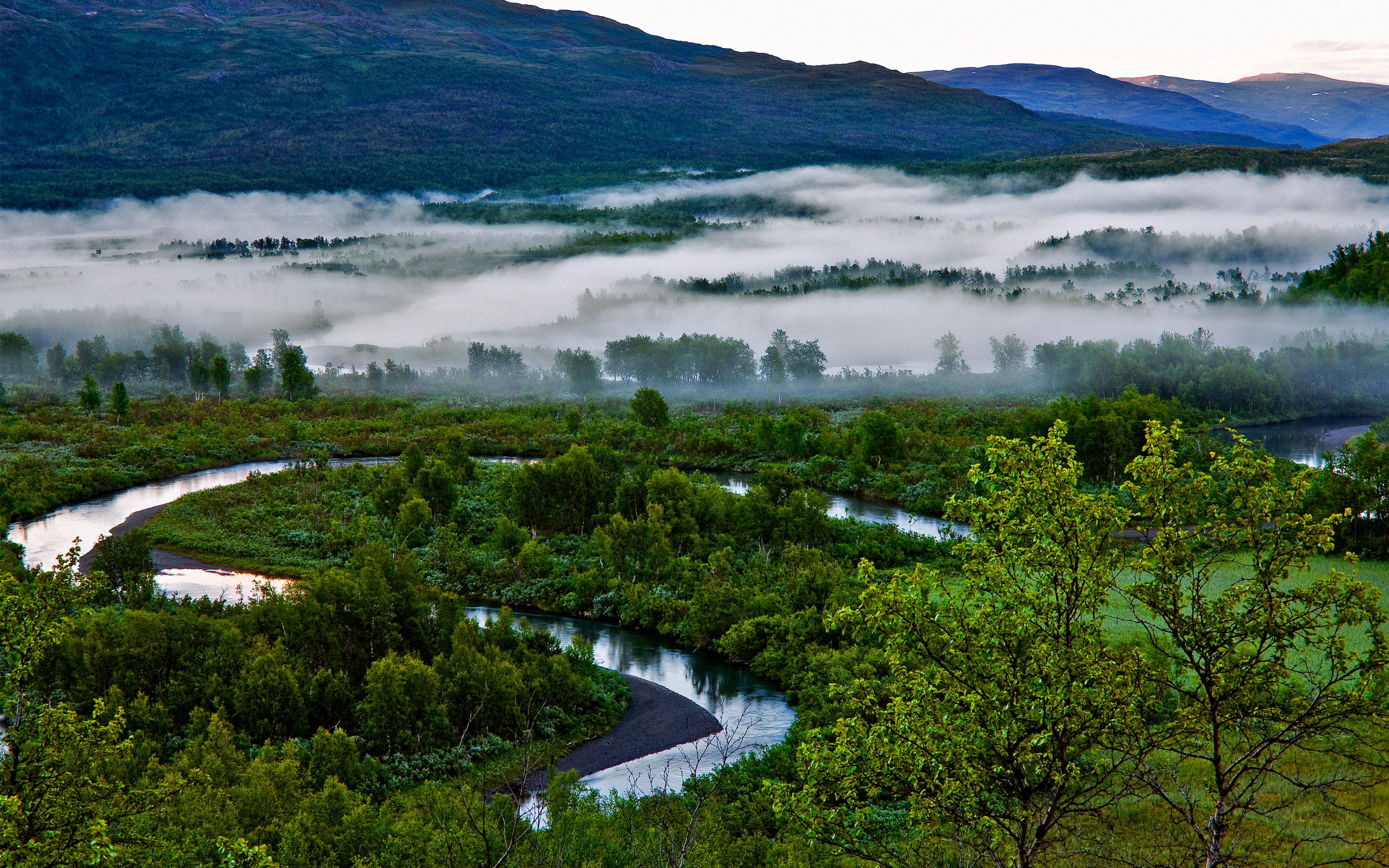 Dimma över frodigt landskap i Vadvetjåkka
