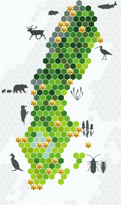 Karta över Sverige och dess nationalparker