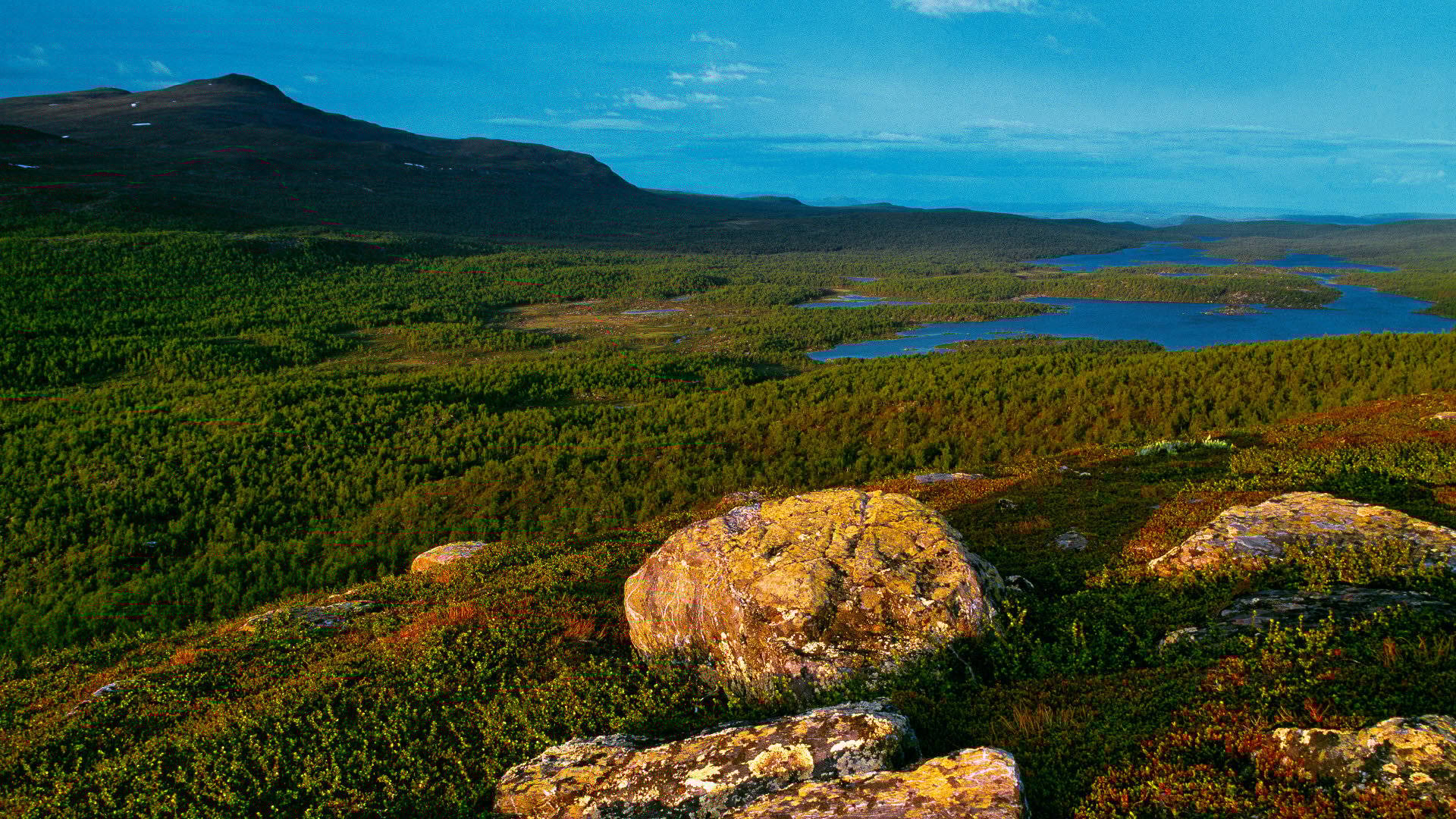 Fjällutsikt med stenblock i förgrunden, skog och sjöar nedanför samt en mörk fjällrygg i bakgrunden i Pieljekaise nationalpark.
