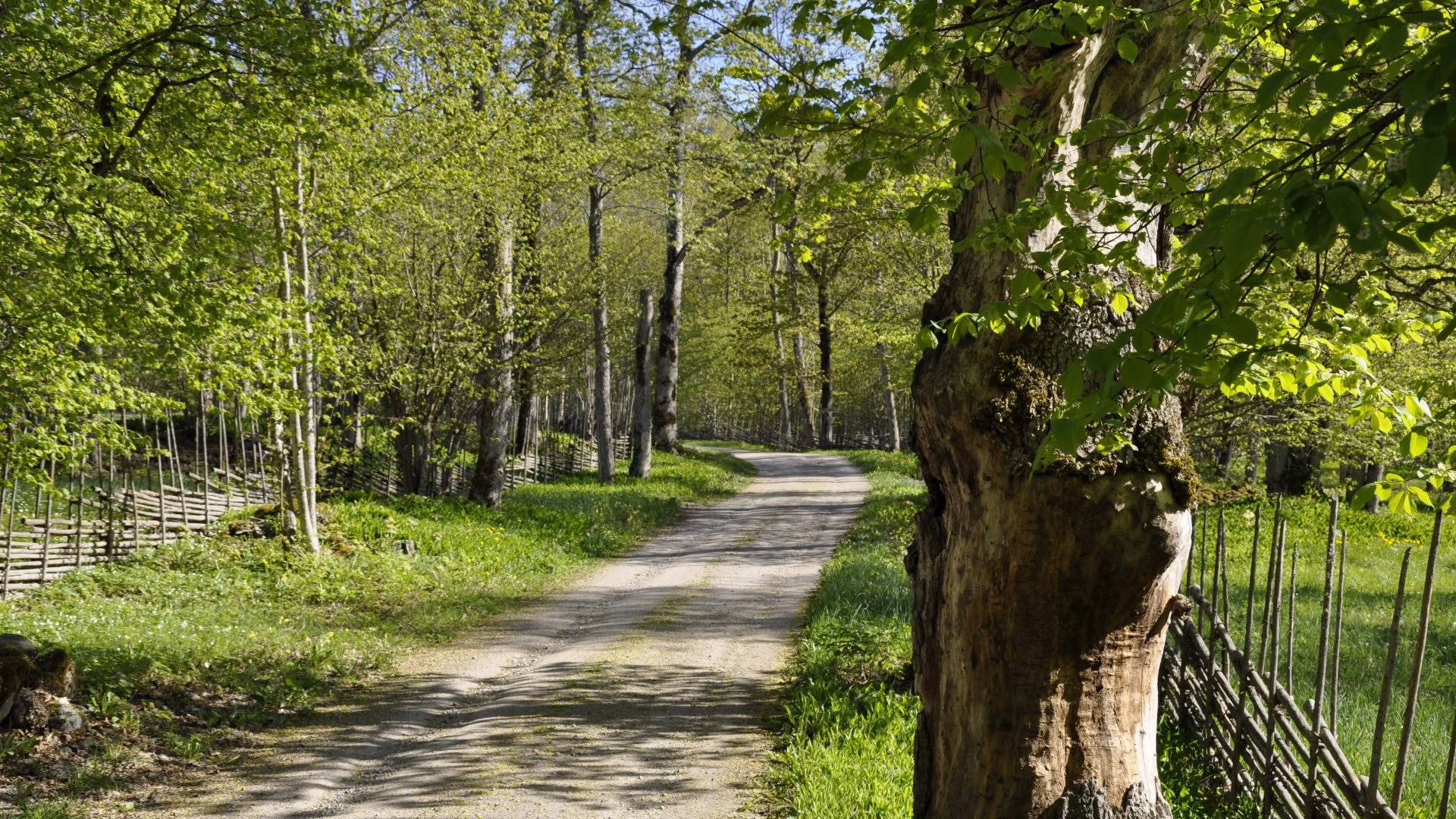 Garphyttans nationalpark