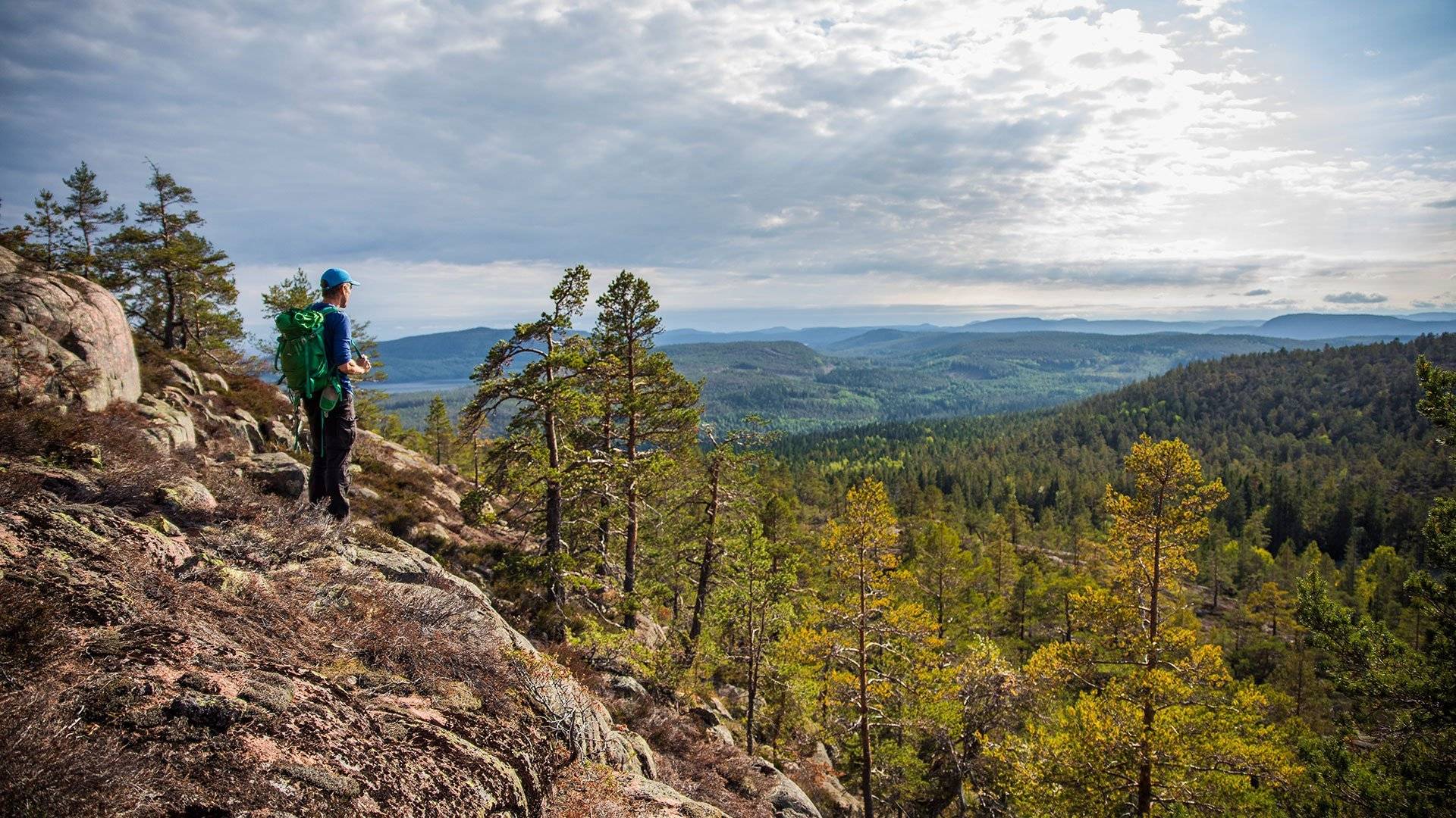 Person med ryggsäck står på klippor och blickar ut över skogsklädda berg och dalar under en molnig himmel i Skuleskogens nationalpark.