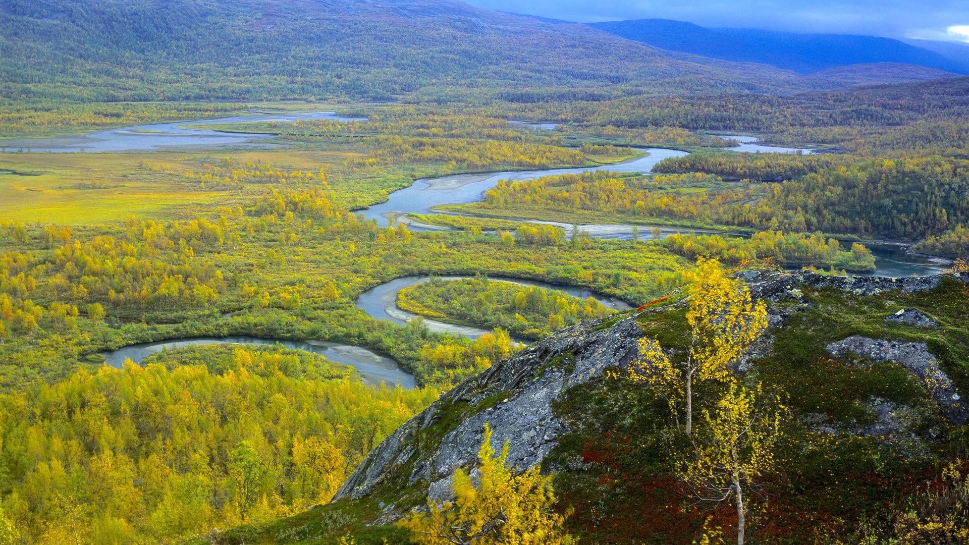 Vy över deltalandskap med meandrande vattendrag och fjäll i bakgrunden. Vadvetjåkka nationalpark.
