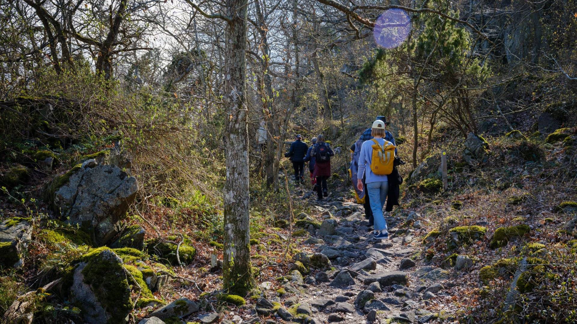 Besökare som går uppför en stenig skogsstig omgivna av träd och buskar i Stenshuvuds nationalpark.