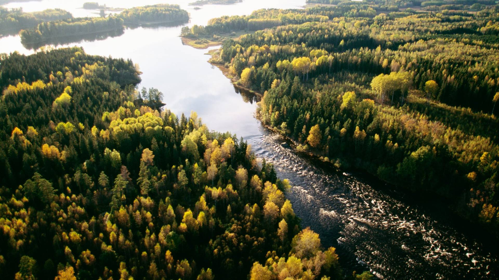 Färnebofjärden National Park