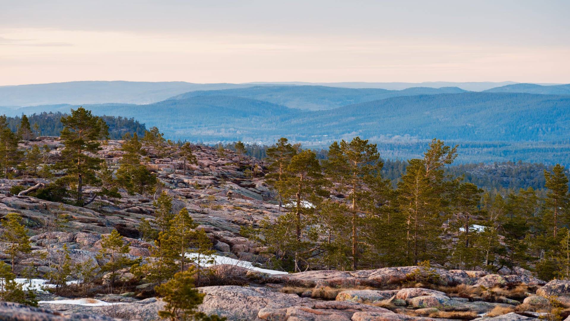 Skuleskogen National Park