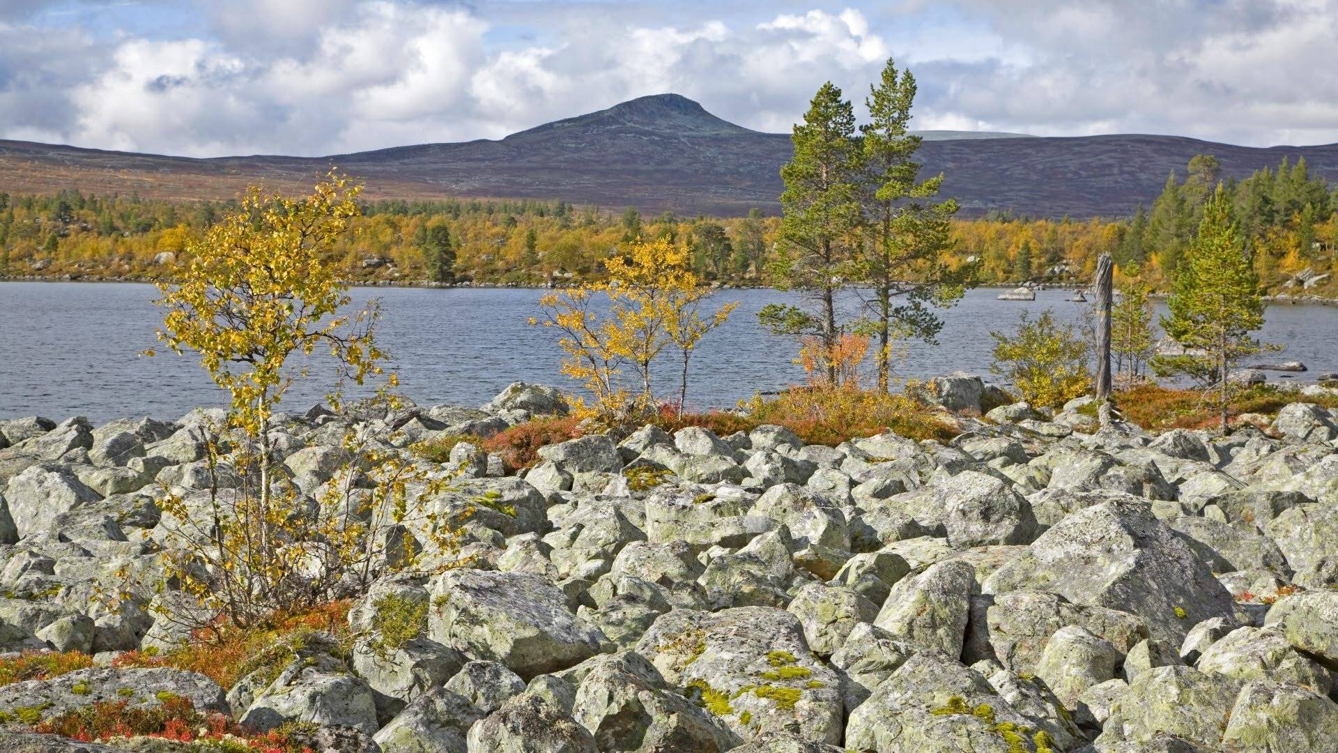 Blocklandskap vid Särsjön,Töfsingdalens nationalpark