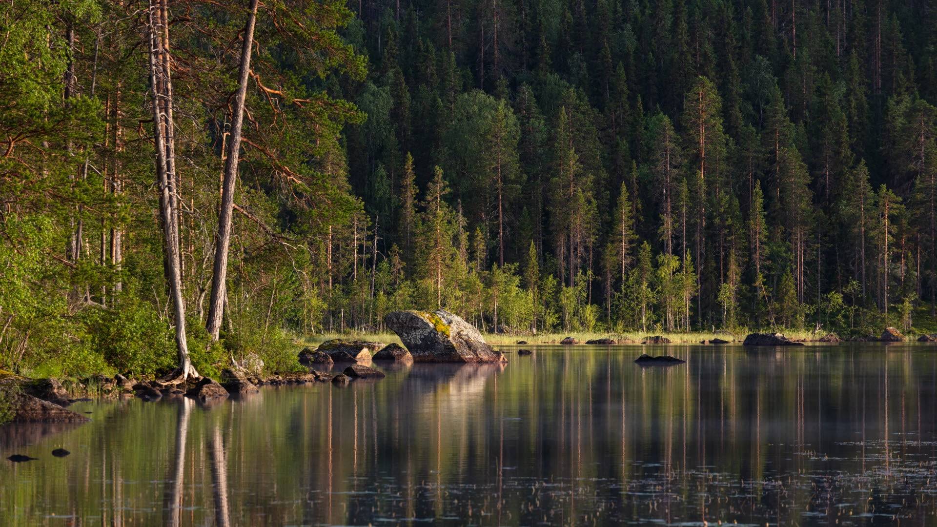 Björnlandet National Park