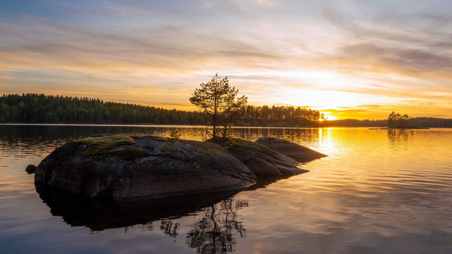 Solnedgång över en sjö med ett litet skär i förgrunden där en liten tall lyckats etablera sig i Tivedens nationalpark.