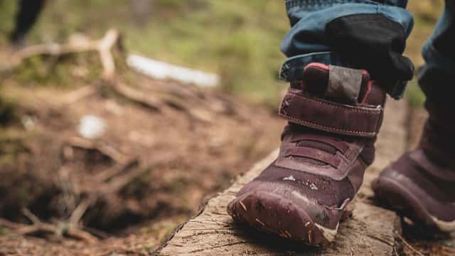 Johanna Eidse-Fraenkel / Johnér Familj på vandring i skogen, Västra Götalands län.