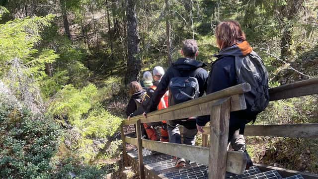 Elisabeth Karlsson, Länsstyrelsen i Örebro län Personer i trappa i skogsmiljö