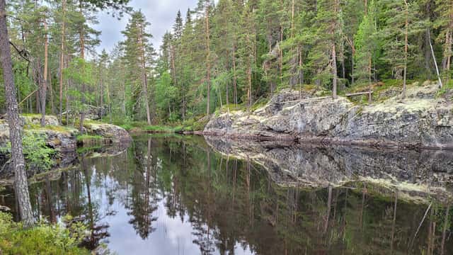 Johan Pålsson Urbassäng