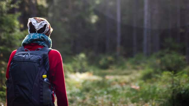 Hilla Aspman / Johnér En kvinna som vandrar i en sommarskog, Mora, Dalarna.
