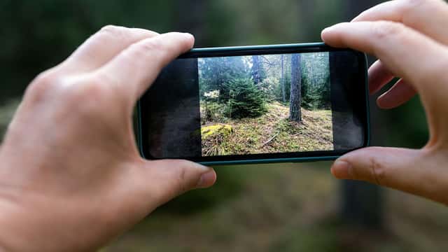 Jens Lindström / Johnér Person fotar med mobil i skog, Stockholm.