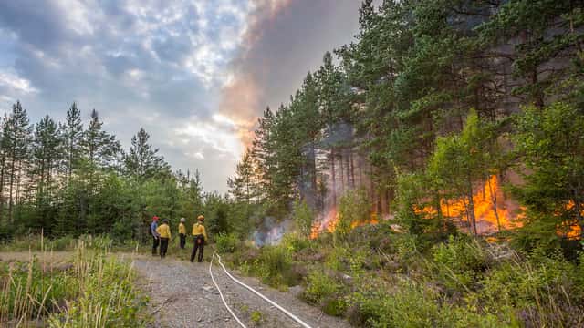 Kjell Store, Länsstyrelsen i Örebro län Flera personer vid pågående brand i skogsmiljö