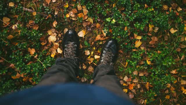 Matilda Mariadotter / Johnér Vandringskängor i höstlöv, Oxberg, Mora, Dalarna.
