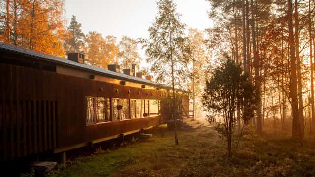Mattias Bokinge Naturum i Store Mosse nationalpark. Solen lyser in mellan träden utanför huset.