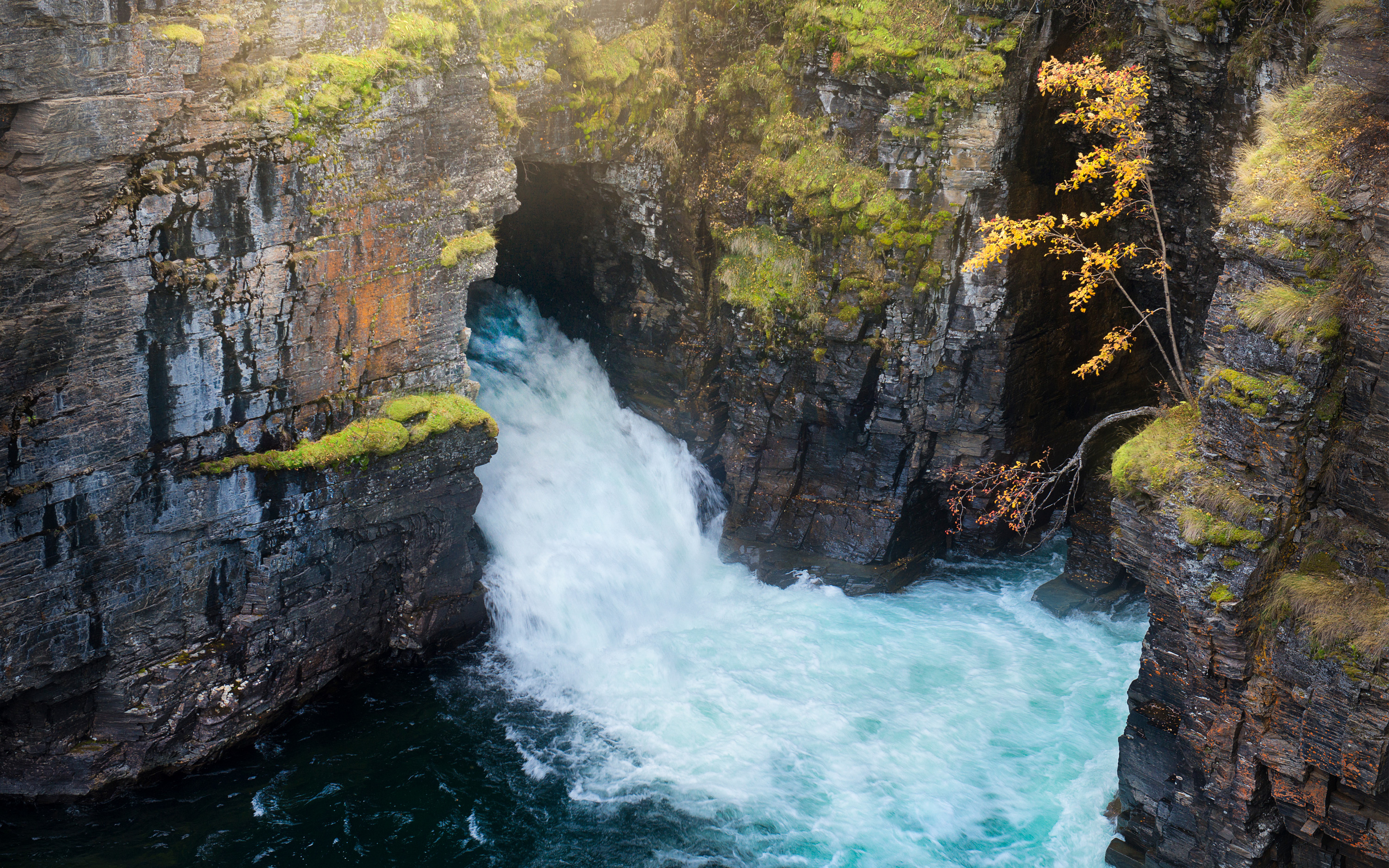 Abisko canyon in Abisko national park