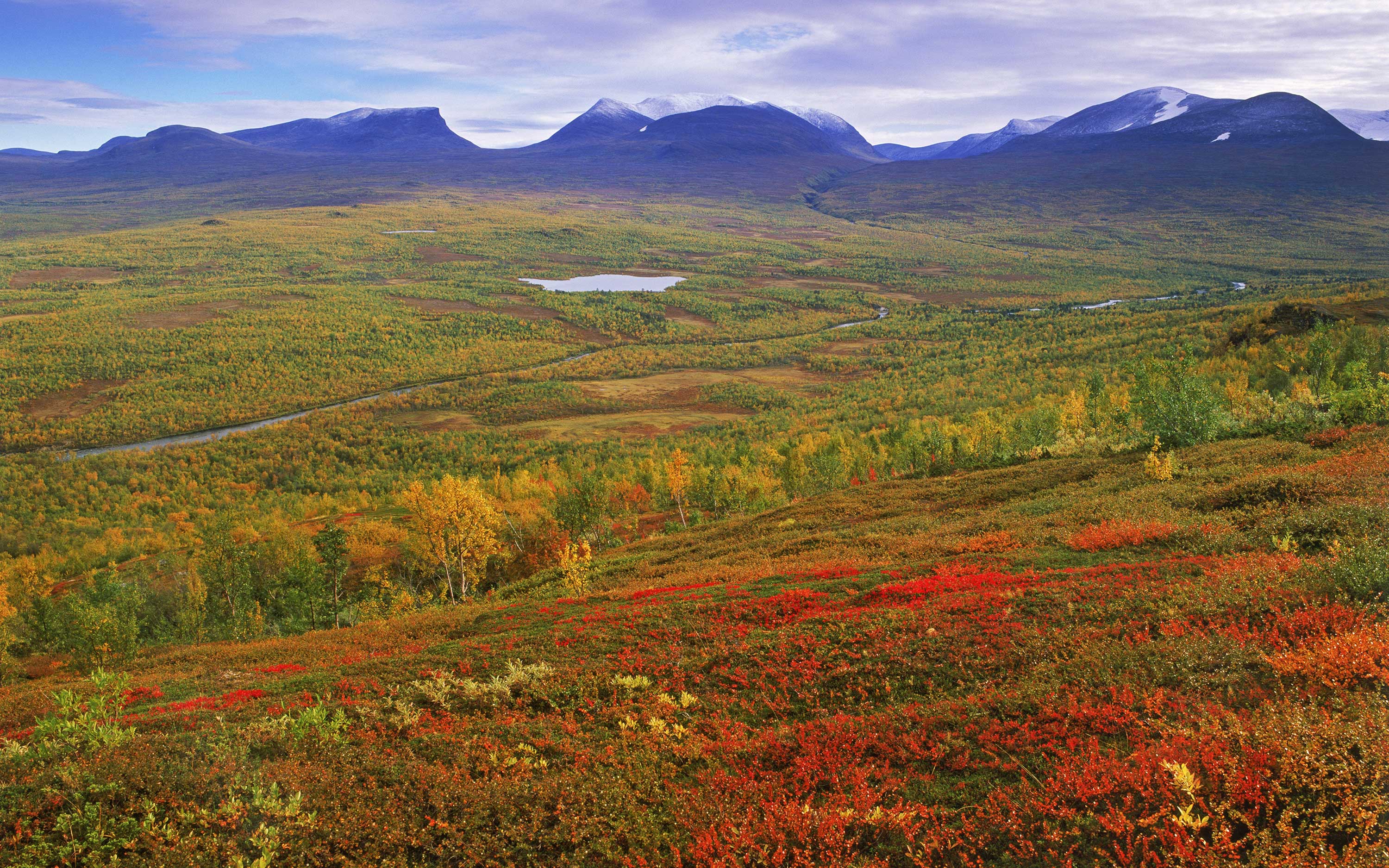 Utsikt över fjällhed med fjäll i bakgrunden.
