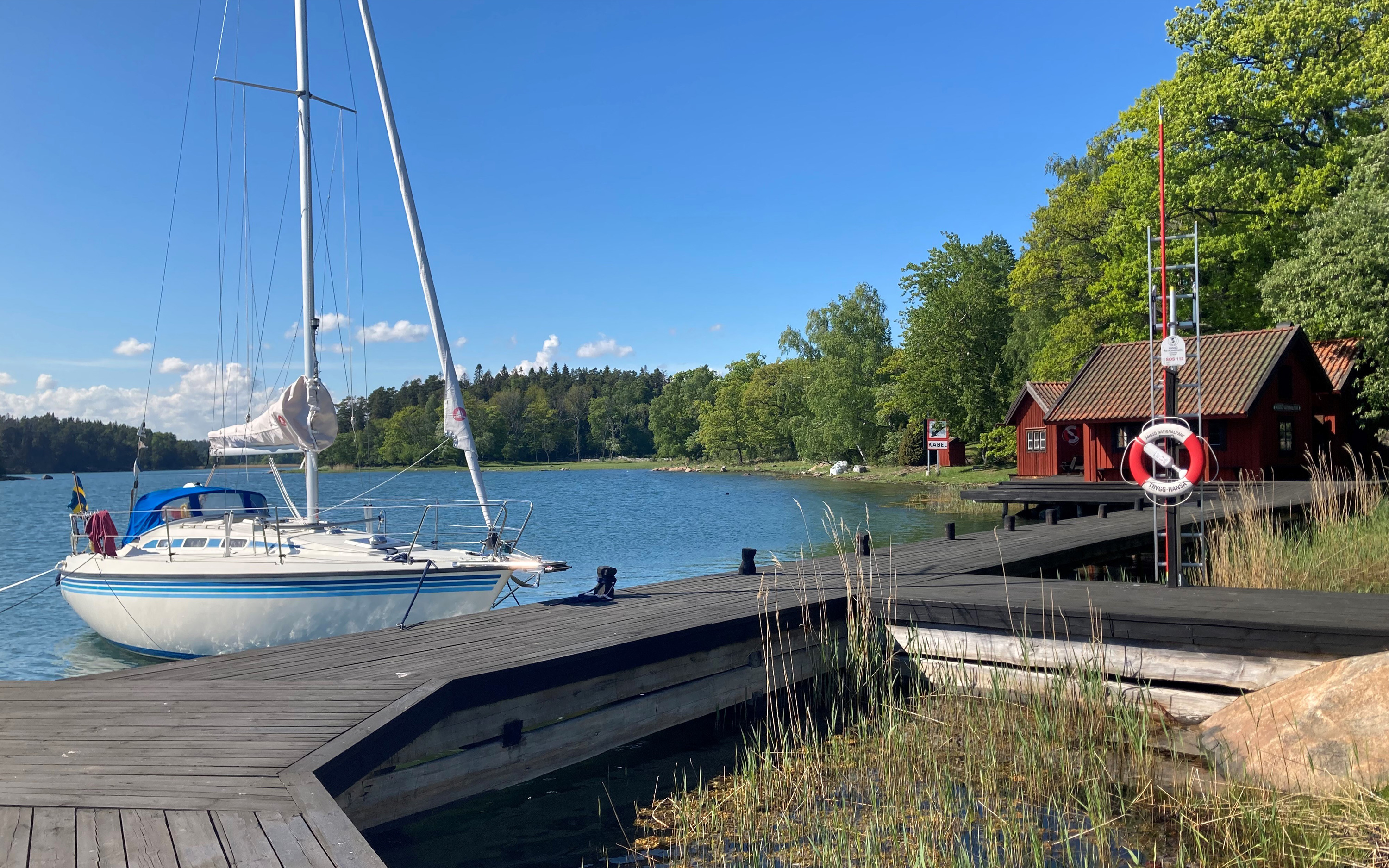 Segelbåt, brygga och röda hus