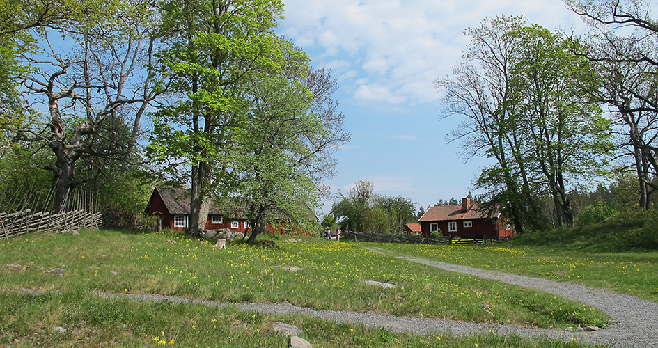 Gård med faluröda hus, gärdesgård och ängsmark med små gula blommor. 