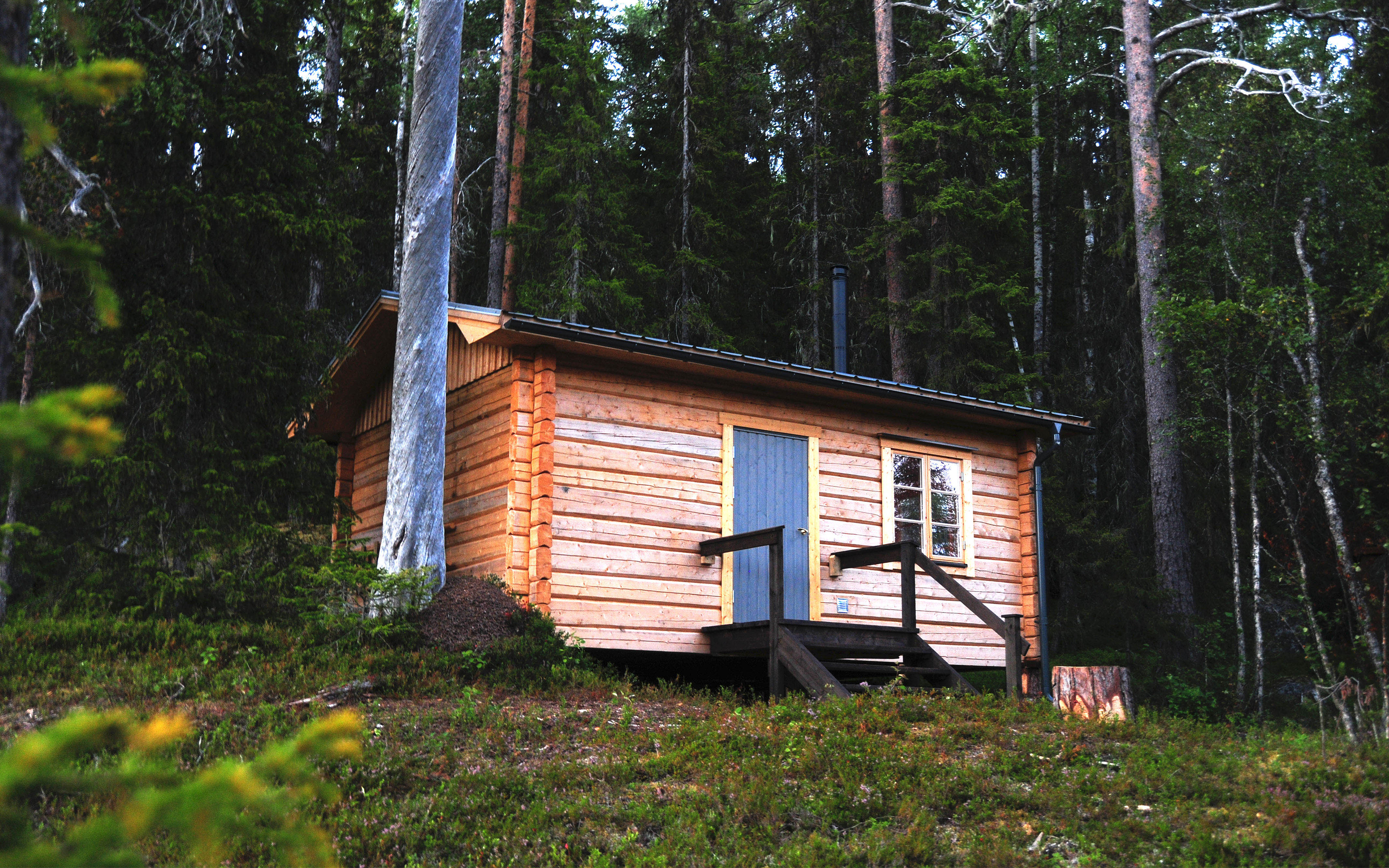 A cabin in a forest environment.