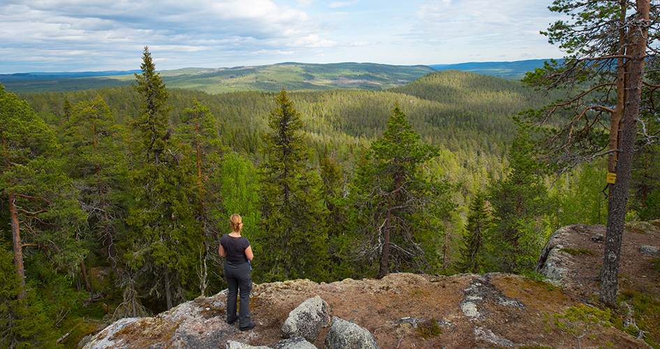 En kvinna står framför ett stup med en skog nedanför.