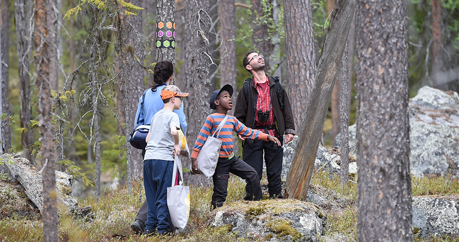 En grupp med två vuxna och två barn står i skogsmiljö och tittar på naturen.
