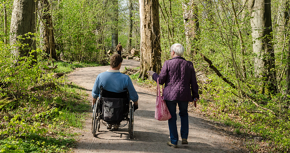 Two people walking on a forest road. One of the people is in a wheelchair.