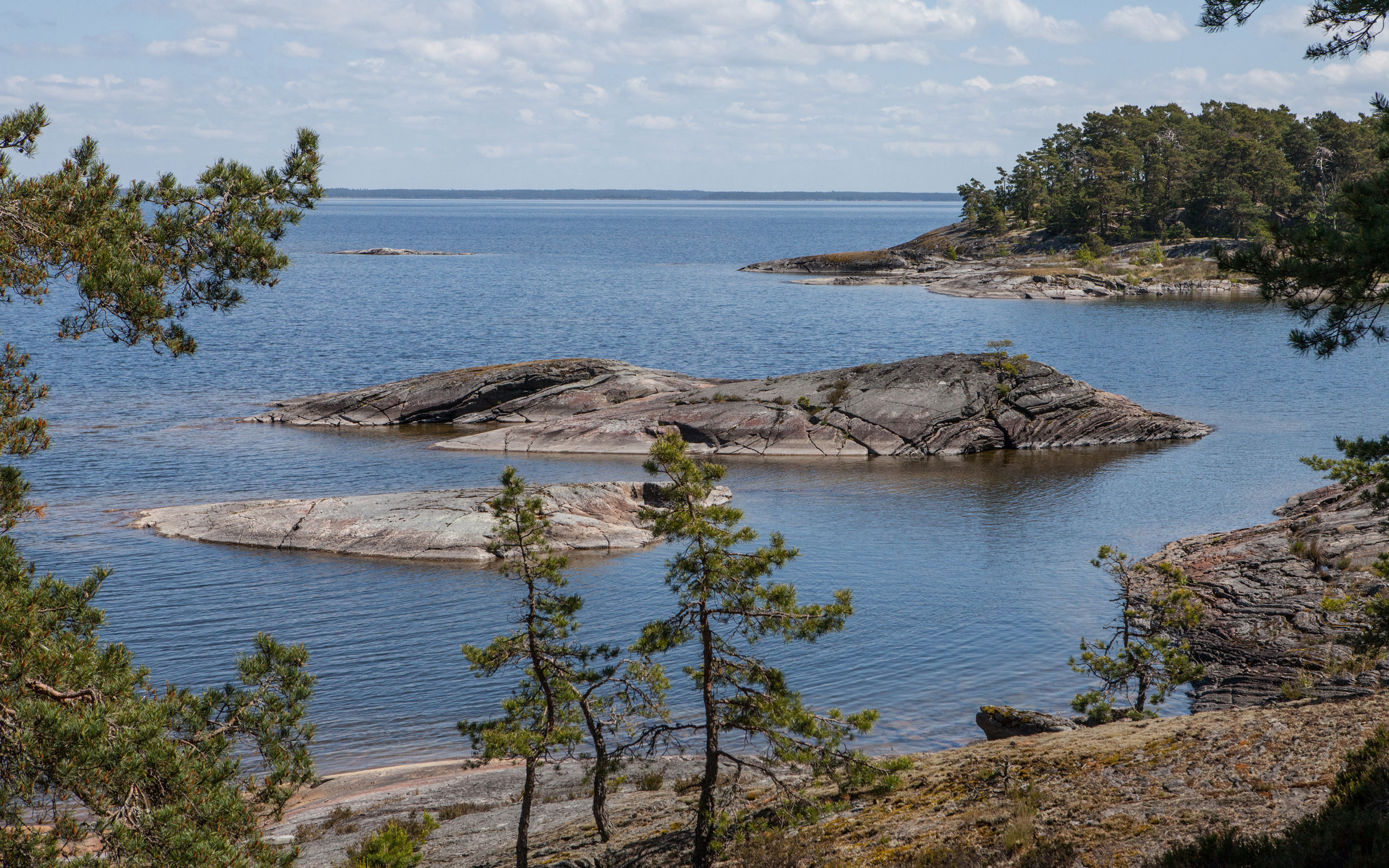 Strandparti från Djurös östra sida. I bakgrunden syns Brommö.