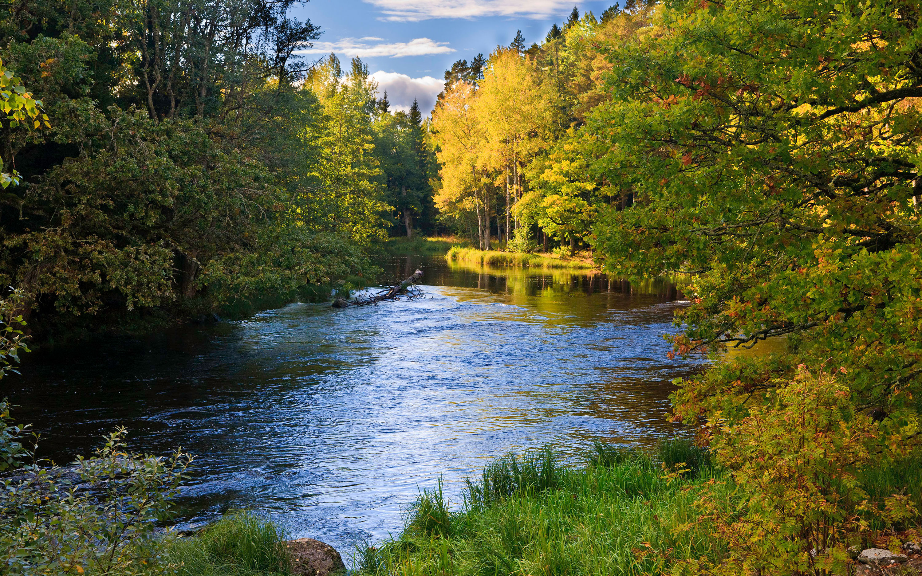 Färnebofjärden, ein Fluss fließt durch einen Wald von Herbstfarben.