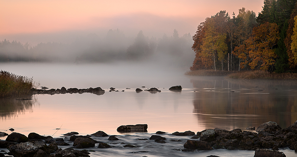 Morgennebel über ruhigem Fluss, rosa Himmel.