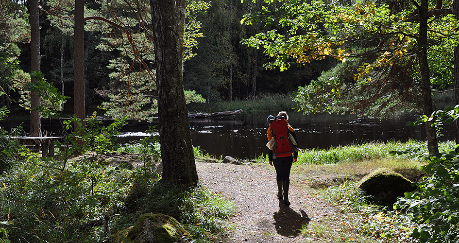 A person is walking along the river with a backpack with a small child in it.