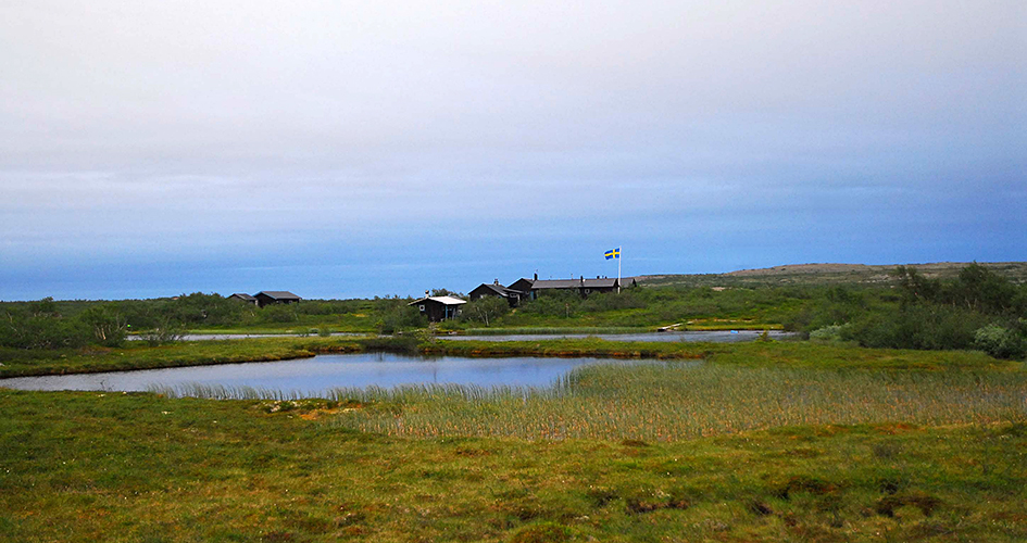 En grupp hus och en flaggstång syns i fjärran på andra sidan en liten sjö.