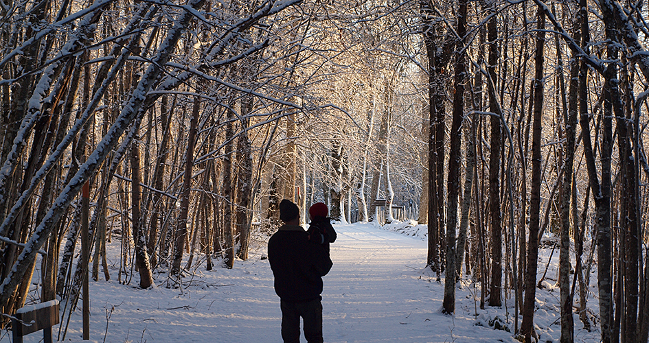 Winter landscape. A person carries a child.