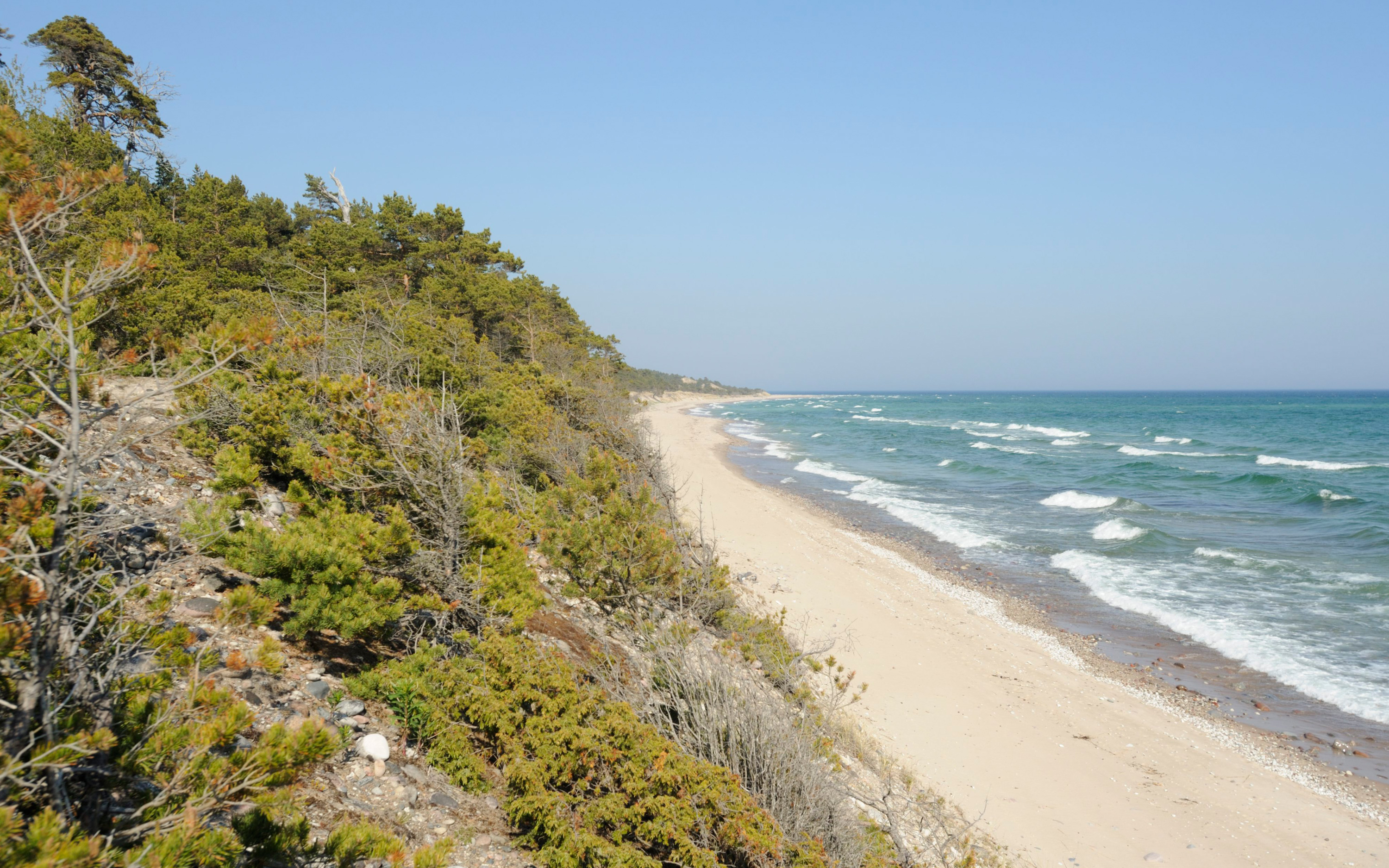 Sandstrand möter hav